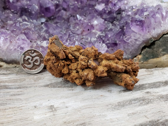 fossilized feces