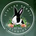 Stellar Rabbit Studios