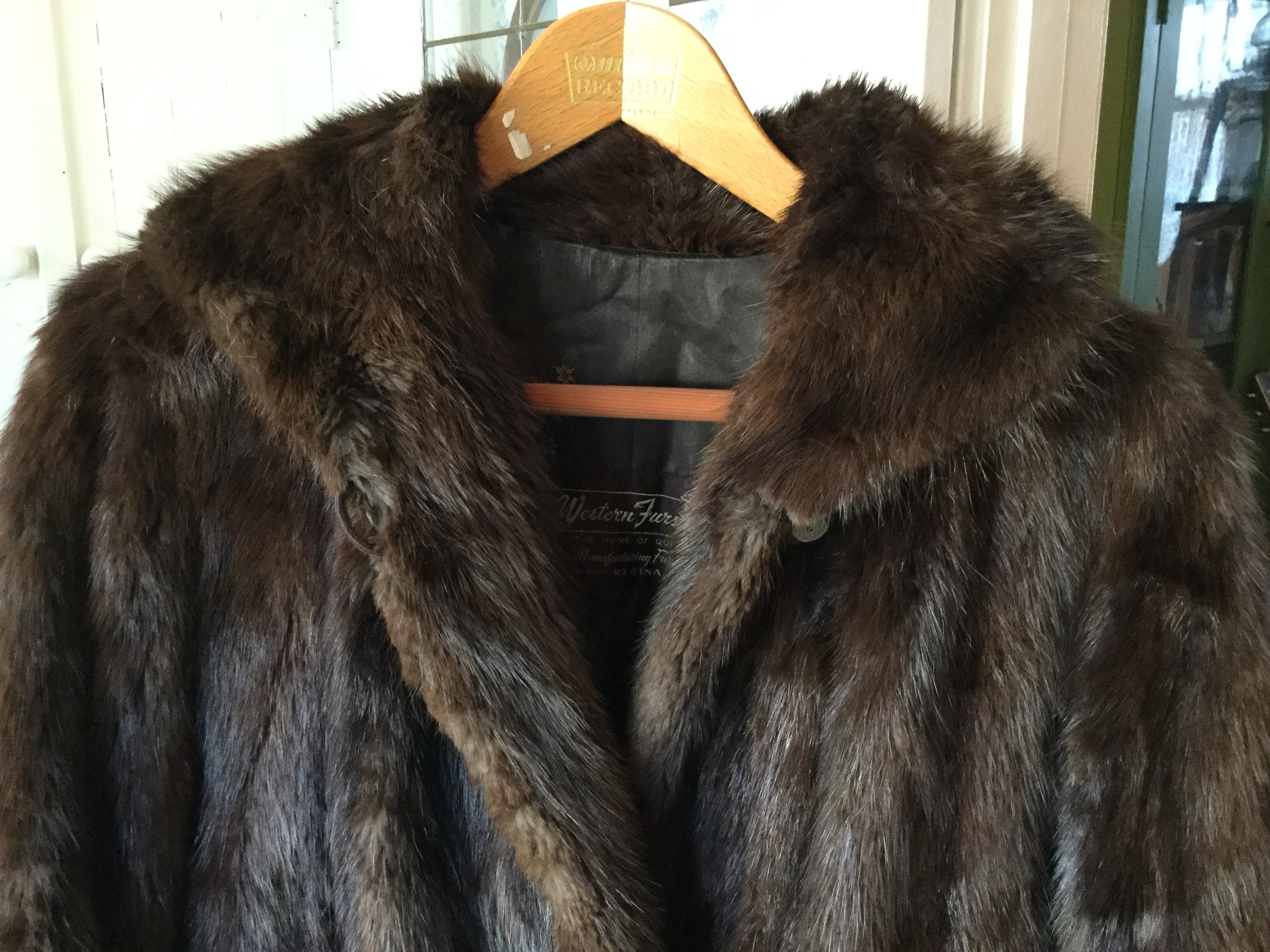 Glamorous Vintage Glossy Dark Brown Women's Large Beaver Fur Glamorous Vintage Glossy Dark Brown Women's Large Beaver Fur