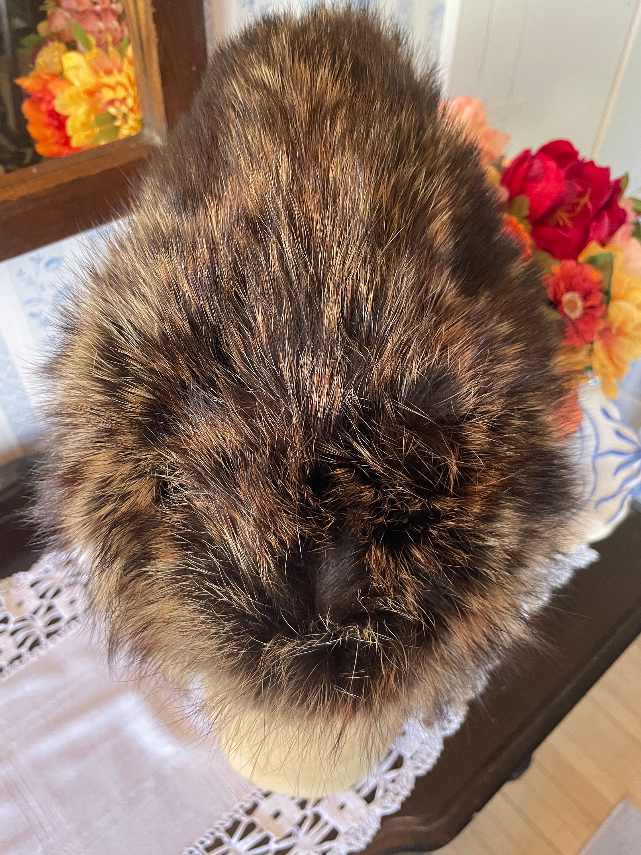 2000s Rare Grunge Fur Hat With Tail 帽子