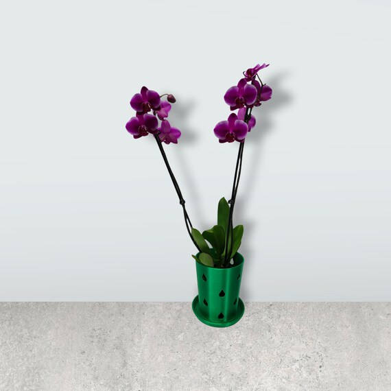 Maceta de orquídeas extra grande de 6.5 con agujeros - Etsy España