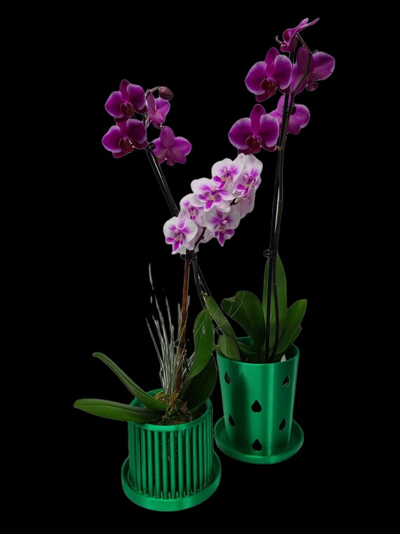 Maceta de orquídeas extra grande de 6.5 con agujeros - Etsy España
