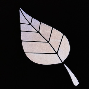 May include: A white leaf with a black outline, with a textured surface, on a black background.