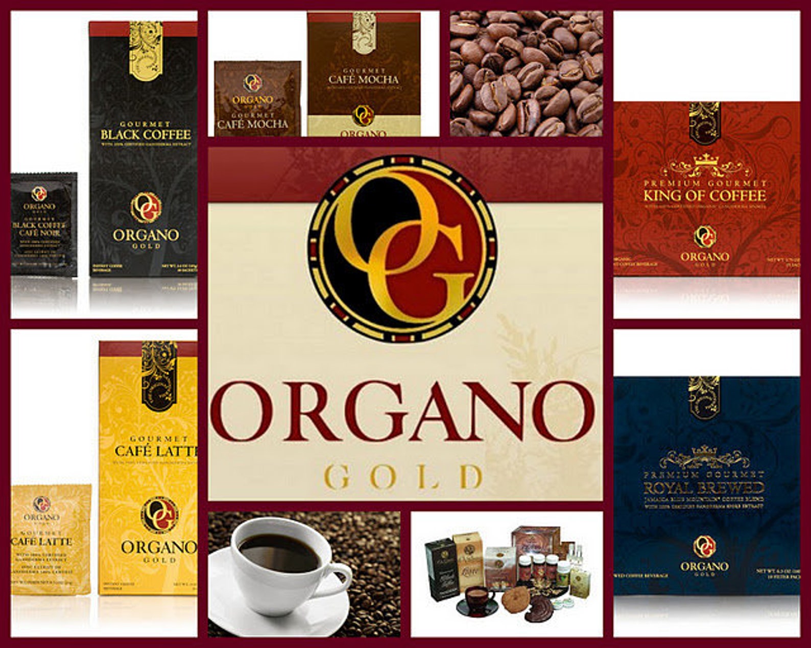 Organo Gold Coffee 3 Flavors W/ reishi Mushroom Etsy