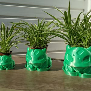 Puede incluir: Tres macetas verdes con forma de Bulbasaur de diferentes tamaños, cada una con una planta en maceta con hojas largas, verdes y blancas a rayas. Las macetas están sobre una superficie de madera.