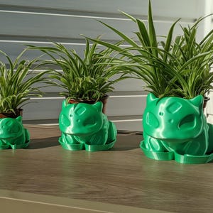 Puede incluir: Tres macetas verdes con forma de Bulbasaur, cada una con una planta de hojas largas, verdes y blancas a rayas. Las macetas están dispuestas sobre una superficie marrón, la más grande en primer plano.