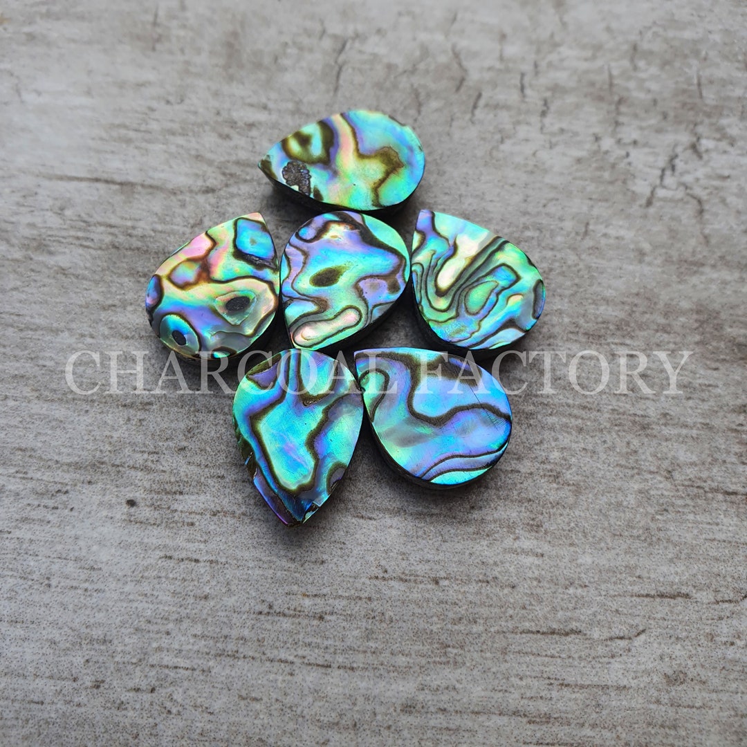 Natural Tasmanian Abalone Shell Pear Shape Cabochonwholesale Etsy