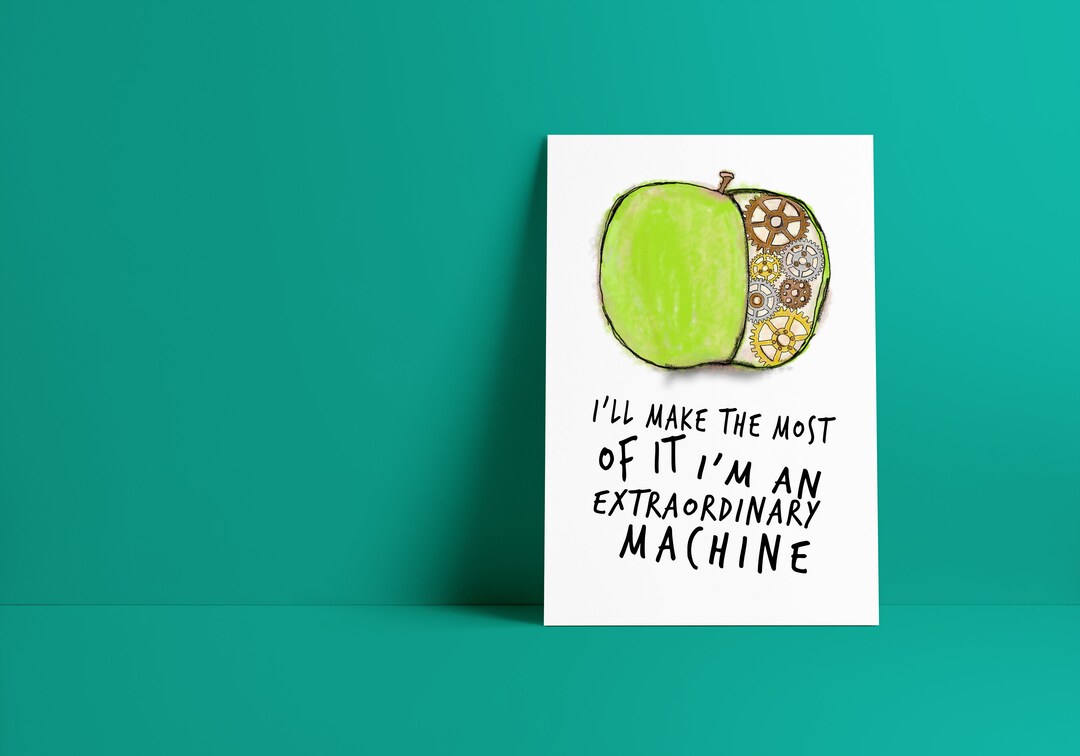 Fiona Apple Extraordinary Machine Lyrics Uncovered