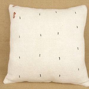 Housse de coussin kilim en chanvre biologique : coussin bohème (20 x 20 pouces)