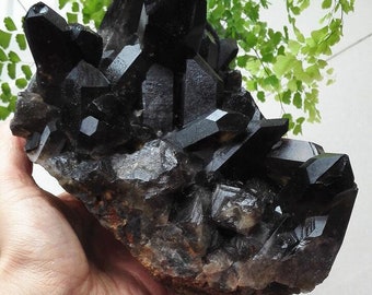 1500 gr Large Rare Natural Beautiful Tibetan Black Quartz Crystal Cluster - Protection