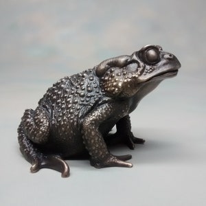 American Toad (Cast Bronze Edition)