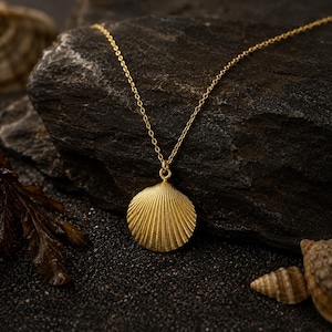 May include: A gold necklace with a circular seashell pendant. The pendant has a detailed, ridged surface. The chain is delicate and gold, set against a dark, textured background. The jewellery has a coastal theme, reminiscent of the seaside.