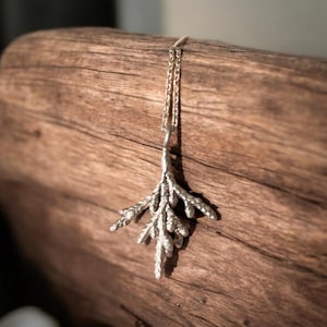 Dainty thuja necklace with sterling silver chain, Thuja twig pendant, Arborvitae plant botanical jewelry, Tree of life White cedar jewelry