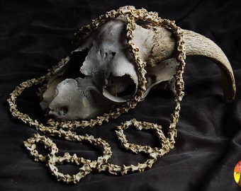 Real Bone Beads: Cervical Vertebrae Crow, Natural African Beads (10pcs)