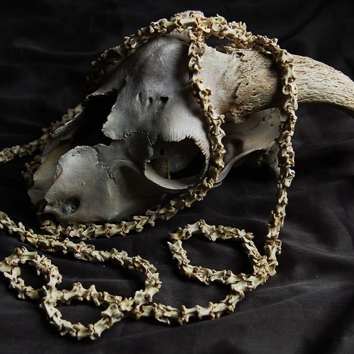 Gothic Real Bone Beads Crow Vertebrae Vulture Culture Oddity