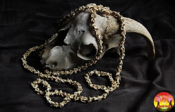 Gothic Real Bone Beads Crow Vertebrae Vulture Culture Oddity