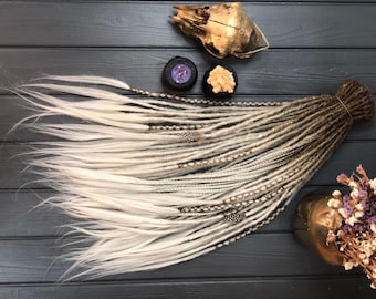 Dreadlock Hair Extensions: Light Brown to Gray Ombre (Braids and Loose Ends)