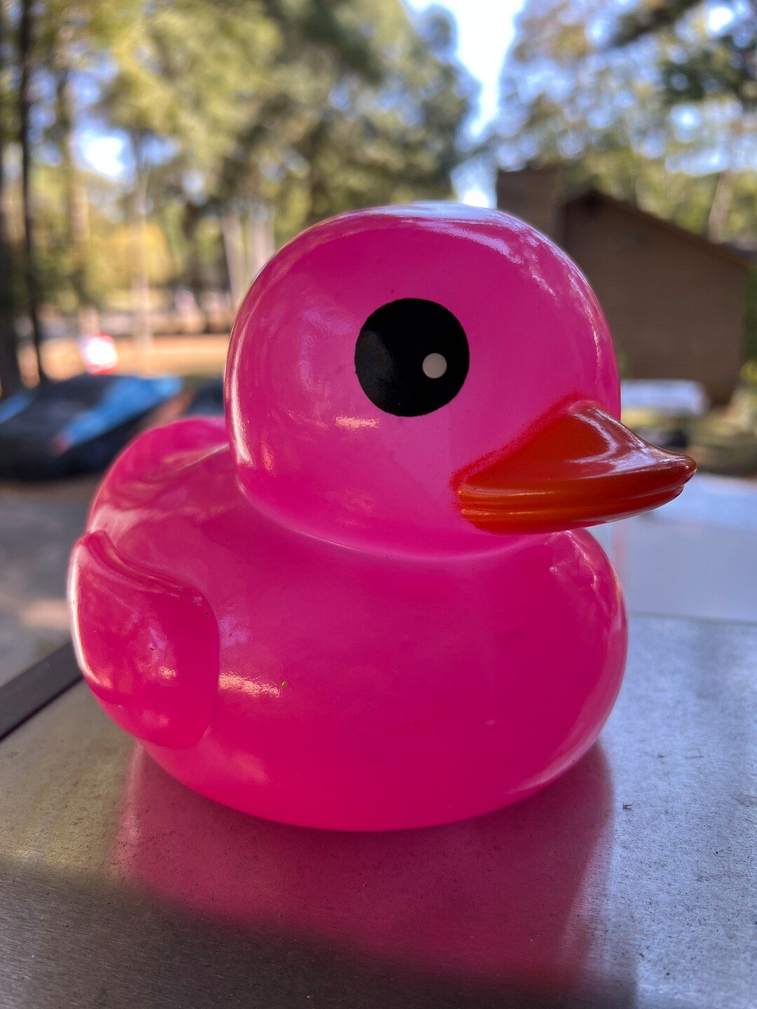 LED Light up Duckneon PINK7 Inchremote and Batteries Included Etsy