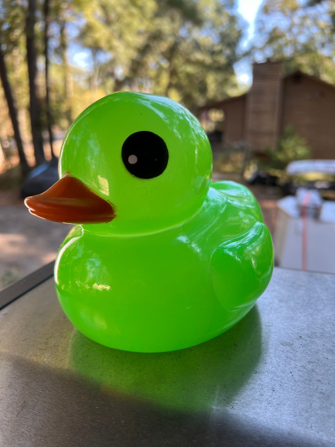LED Light up Duckneon GREEN7 Inchremote and Batteries Included Etsy