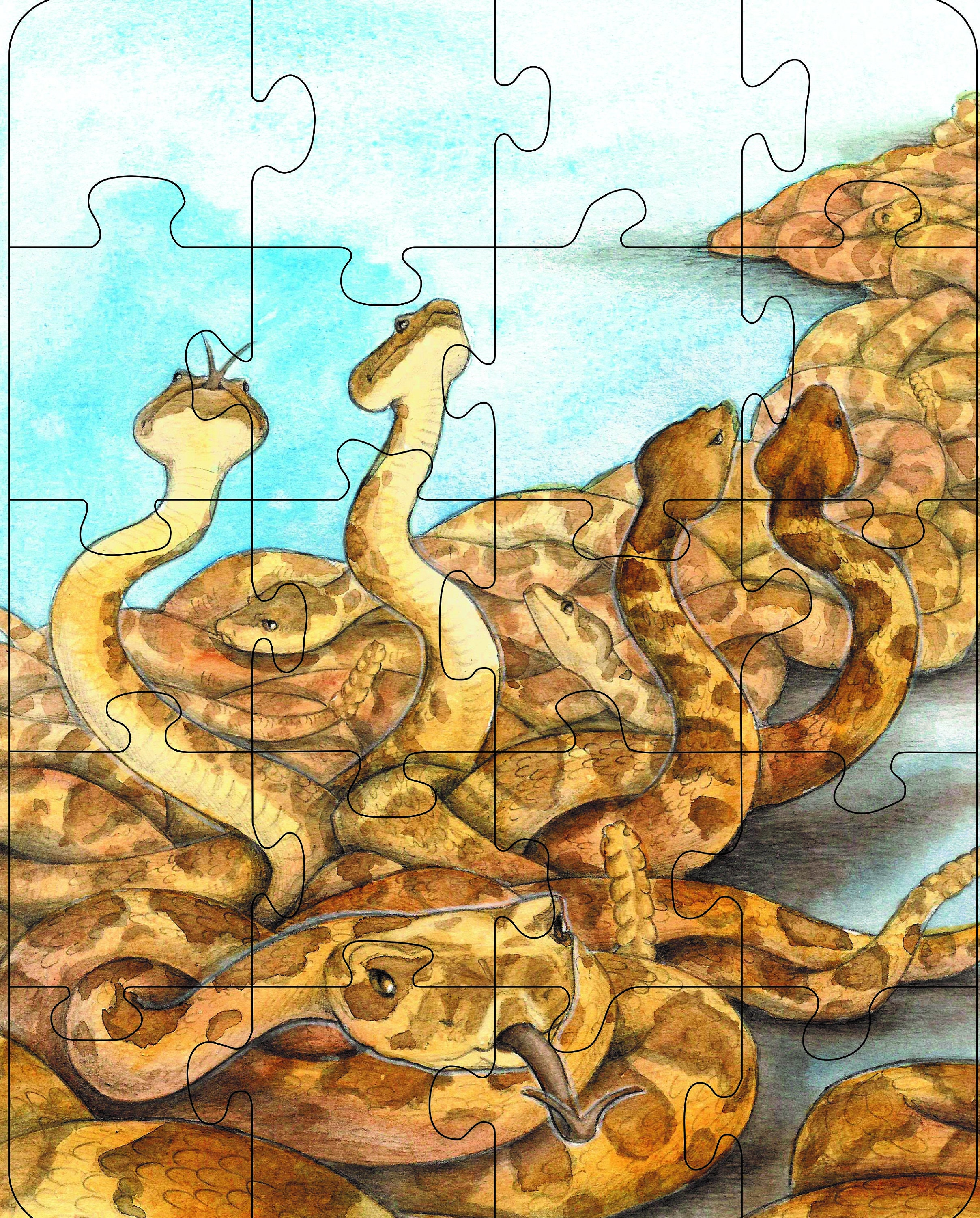 Rattlesnake Puzzle Etsy