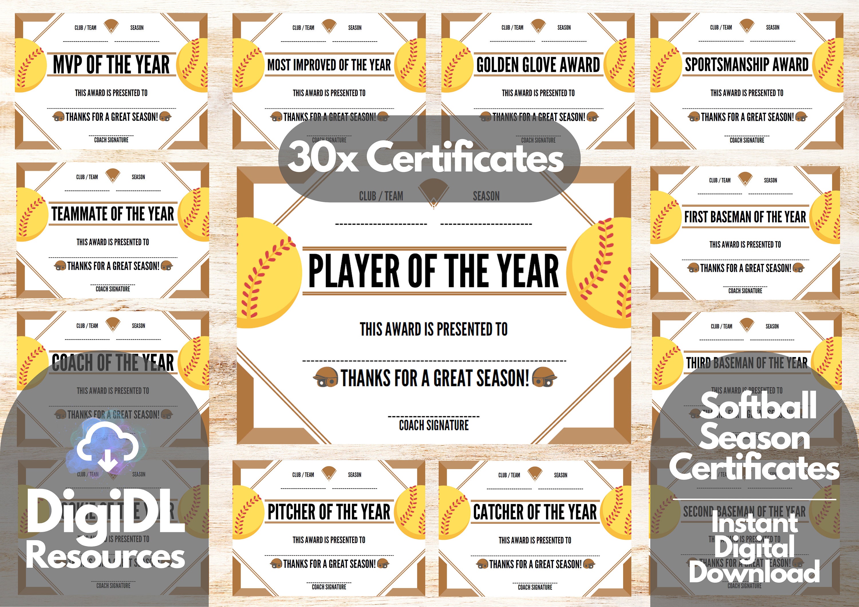 Softball Award Certificates, Award Ceremony Certificates, End of Season Softball Awards, Team Party Printable, Downloadable Softball Award