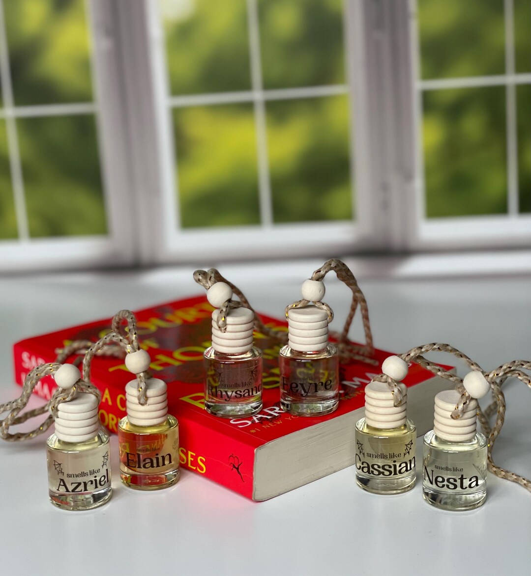 Bookish Car Diffusers | ACOTAR Car Diffuser | Fourth Wing Car Diffuser ...