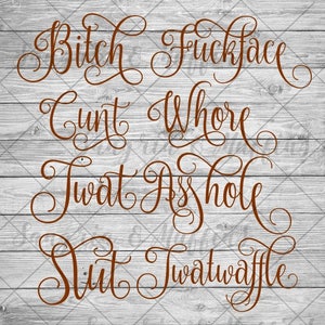 DIGITAL Fancy Cuss words, Script Cuss Words, Cursive Dirty Words svg png pdf ZIP file cut file, Cricut, Silhouette image 1