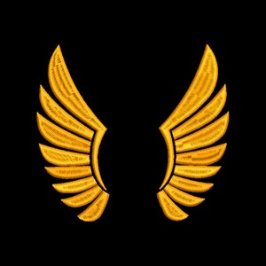 Puede incluir: Un par de alas doradas con un diseño bordado detallado. Las alas son simétricas y tienen una forma puntiaguda en la parte superior.