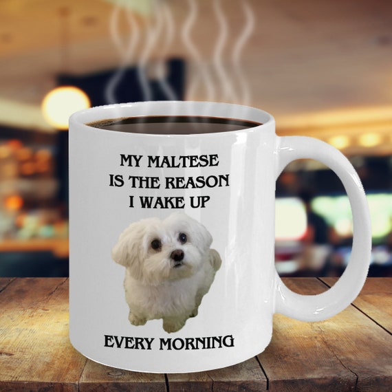 maltese mug