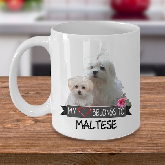 mug puppies