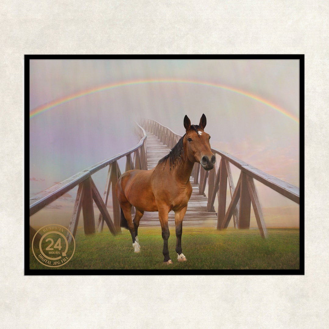 Pferd geht über die Regenbogenbrücke Pferd Verlust Regenbogen Brücke