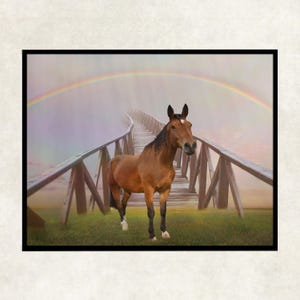 Custom horse rainbow bridge, horse remembrance rainbow bridge, horse memorial canvas,  horse lover loss gift