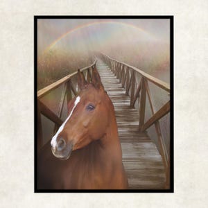 Horse on the rainbow bridge, horse memorial photo, horse remembrance rainbow bridge, horse lover loss gift