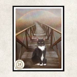 cat passed over the rainbow bridge | cat lovers loss | memorial gift cat rainbow bridge | cat mourning rainbow bridge