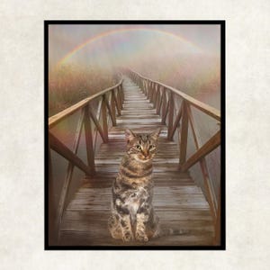 Regenbogenbrücke an Katze, Verlust von Katzenliebhabern, Gedenkgeschenkkatze Regenbogenbrücke, Katze, die Regenbogenbrücke trauert