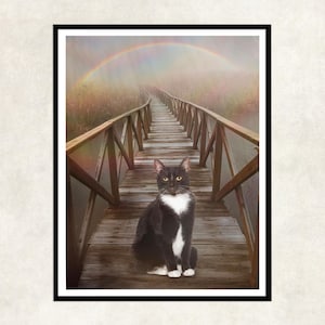 Rainbow bridge cat, cat loss, memorial gift, loss cat rainbow bridge, cat passing over the rainbow bridge