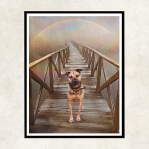 Dog cross over the rainbow bridge, dog lovers loss, dog memorial gift, custom dog memorial rainbow bridge
