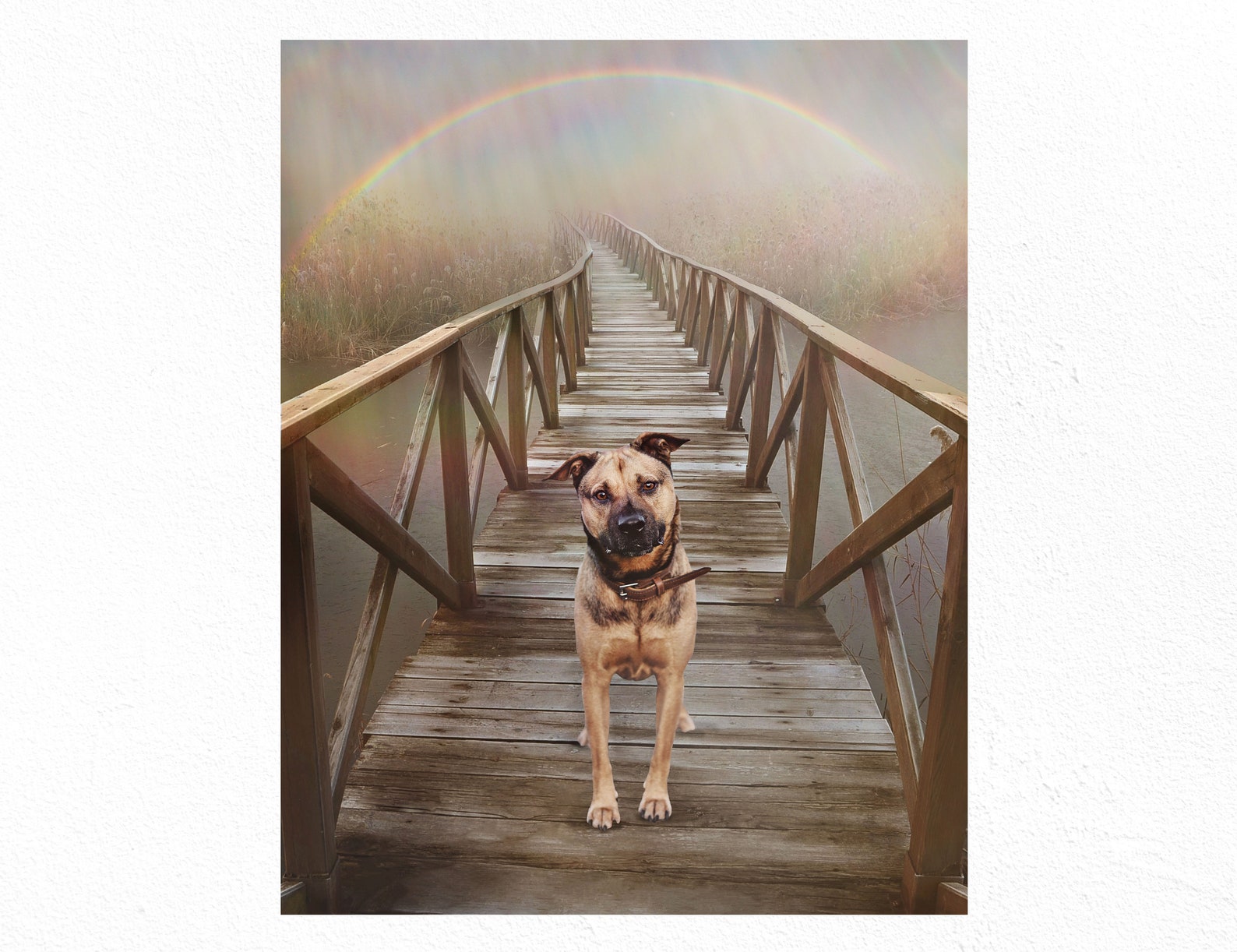 Rainbow Bridge Pet Memorial Pet Loss Remember Pet sympathy Etsy