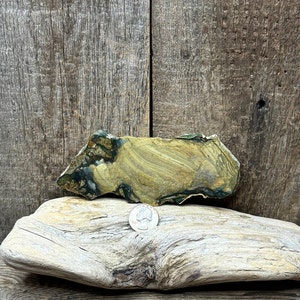 Blue Mountain Picture Jasper Slab - 6&quot; x 2.25&quot; x .25&quot;