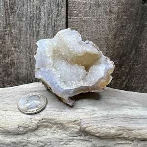 May include: A geode with a crystalline interior and a layered, light-colored exterior. The geode sits on a piece of driftwood, with a quarter coin nearby for size comparison. The background is a weathered wooden surface.