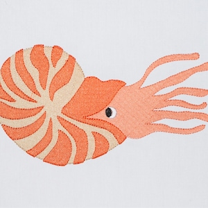 Op de afbeelding: Een koraalkleurige nautilus-schelp met een wit spiraalpatroon en een enkel oog. De nautilus heeft een lange, dunne, gesegmenteerde tentakel.