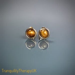 Tigers Eye Stud Earrings. Eternity Circle Earrings. Sterling Silver. 14K Gold/Rose Gold Filled. Incl Gift Box & Info Gift Card.Gifts for Her