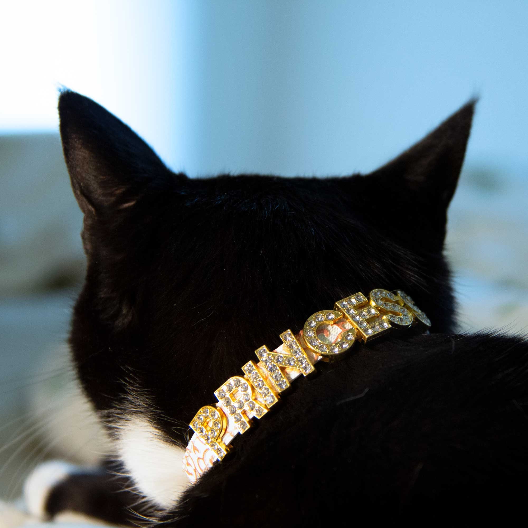 Collars Cat Chain, Bling Collars Cats, Luxury Cat Collars