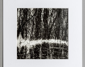 Weeping Willow - Black and White Gelatin Silver Print tree lake fine art print