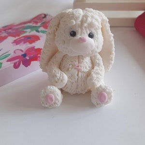 Ostern Hase Fondant Cake Topper Süßer Hase Ostern Karotten Kuchen Dekoration Flauschiger Hase Cake Topper Baby Shower Topper Erster Geburtstag Kuchen