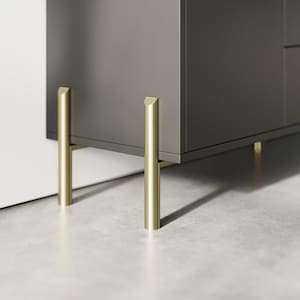 Puede incluir: Un armario gris oscuro con patas de metal dorado. El armario tiene un diseño sencillo y está hecho de madera.