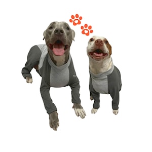 Dog Surgery Suit Etsy UK