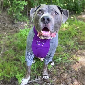 Plain Dog Hoodie Summer Dog Shirt Blank Hoodie For Big Dog Dog Tshirt Blank Custom Made Great Pet Dog Holiday Gift