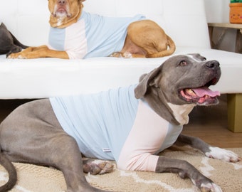 Süßes Hunde Sommer Shirt Blau Rosa Pastell Farbe Hund T-Shirt Elastisch Super Weiches Hunde Shirt Große Hundetuch Hund Sommer Kostüm Haustier Tuch