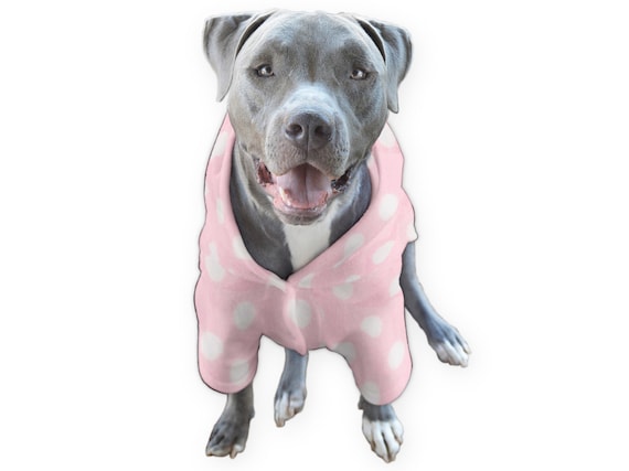 de del de San Valentín Pitbull ropa de - Etsy España